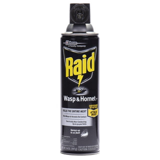 Raid Wasp & Hornet Killer, 14 Ounce, 12 Per Case