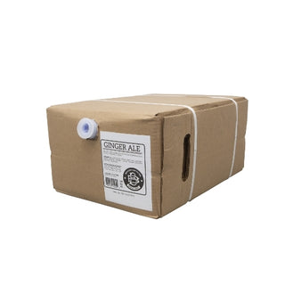 Boylan Bottling Bag-In-Box Ginger Ale Soda, 5 Gallon
