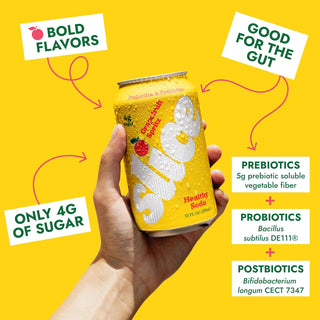 Slice Prebiotic & Probiotic Soda Pop, Grapefruit Spritz, 12oz (Pack of 12)