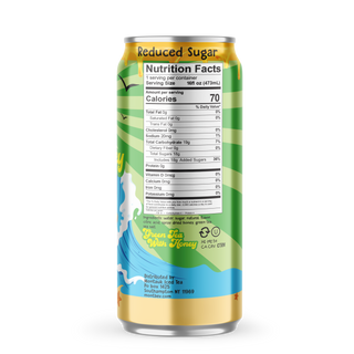 Montauk Premium Iced Tea, Green Tea with Honey, 16oz Cans (Pack of 12)