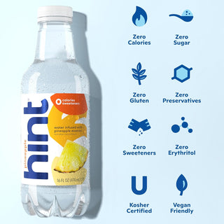 Hint Fruit-Infused Water, Pineapple, 16oz (Pack of 12)