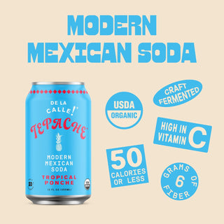 De La Calle Tepache Modern Mexican Soda, Tropical Ponche, 12oz (Pack of 12)