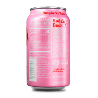Poppi Prebiotic Soda, Raspberry Rose, 12 oz (Pack of 12)