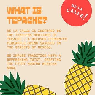 De La Calle Tepache Modern Mexican Soda, Mandarin Refresco, 12oz (Pack of 12)