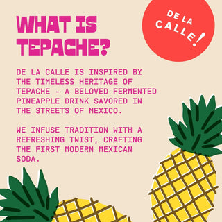 De La Calle Tepache Modern Mexican Soda, Prickly Pear Cactus, 12oz (Pack of 12)