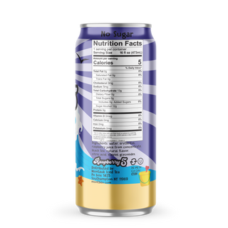 Montauk Premium Iced Tea, Raspberry 5, 16oz Cans (Pack of 12)