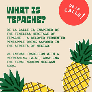 De La Calle Tepache Modern Mexican Soda, Pineapple Spice, 12oz (Pack of 12)