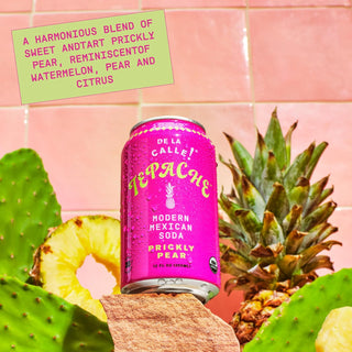 De La Calle Tepache Modern Mexican Soda, Prickly Pear Cactus, 12oz (Pack of 12)