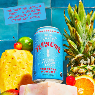 De La Calle Tepache Modern Mexican Soda, Tropical Ponche, 12oz (Pack of 12)