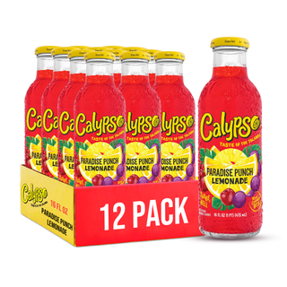 Calypso Lemonade, Paradise Punch, 16oz (Pack of 12)