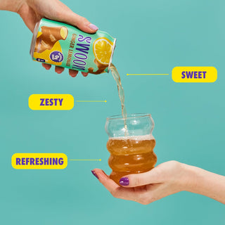 SWOON Sugar Free Lemonade, Ginger, 12oz (Pack of 12)