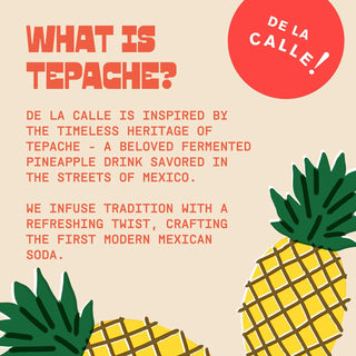 De La Calle Tepache Modern Mexican Soda, Grapefruit Lime, 12oz (Pack of 12)