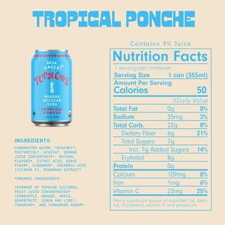 De La Calle Tepache Modern Mexican Soda, Tropical Ponche, 12oz (Pack of 12)