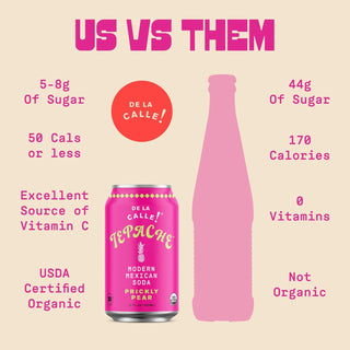 De La Calle Tepache Modern Mexican Soda, Prickly Pear Cactus, 12oz (Pack of 12)