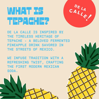 De La Calle Tepache Modern Mexican Soda, Tropical Ponche, 12oz (Pack of 12)