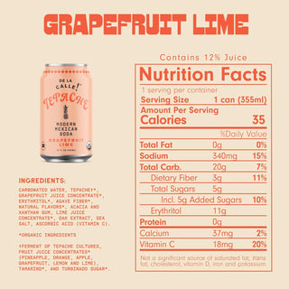 De La Calle Tepache Modern Mexican Soda, Grapefruit Lime, 12oz (Pack of 12)